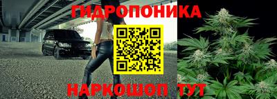 apvp Иваново