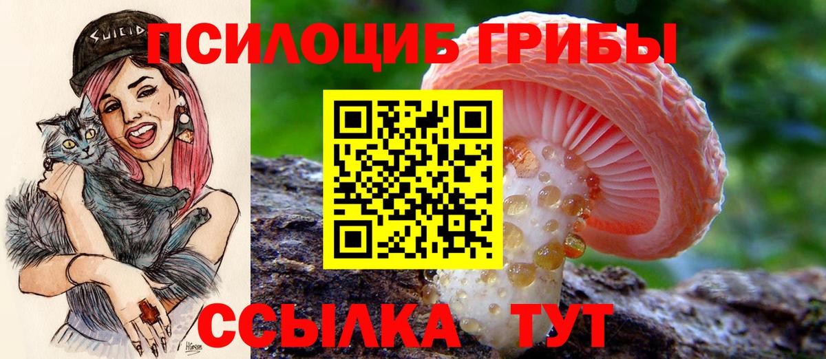 даркнет сайт  Галлюциногенные грибы прущие грибы  Вход с VPN  Набережные Челны 